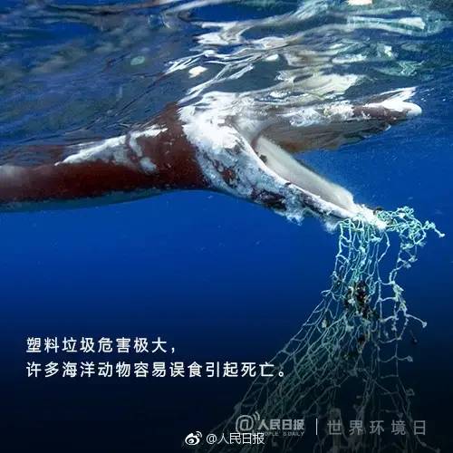 微信图片_20200729190041