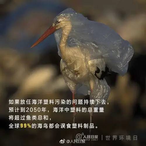 微信图片_20200729190045